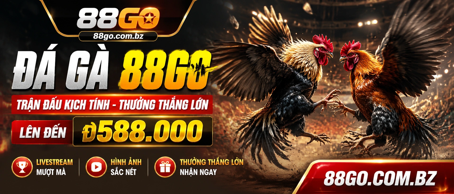 Khu xem Đá Gà Trực Tiếp trên 88go